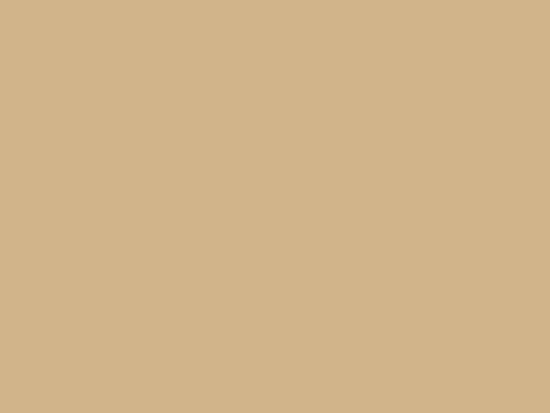 Flattened moving boxes, set of 12